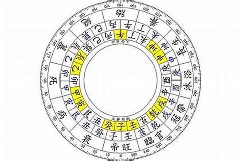 八字四庫|四柱八字：四庫、辰、戌、丑、未詮釋